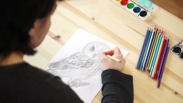 The woman draws an owl