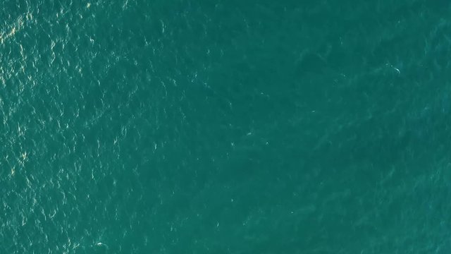blue sea from above