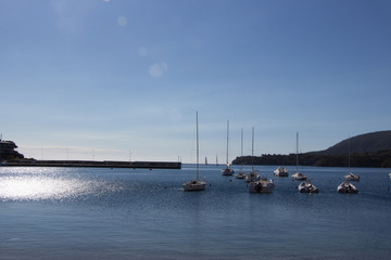 Obraz premium Marina with sailboats