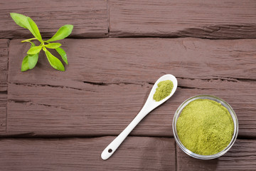Natural sweetener in powder from stevia plant - Stevia rebaudiana.