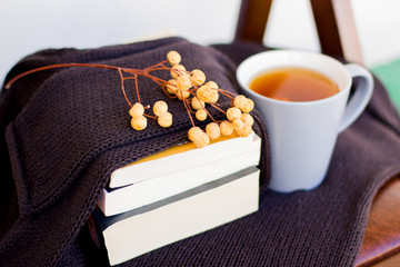 Autumn layout with hot tea with a lemon on a sweater and dry leaves. Brown background.Books.