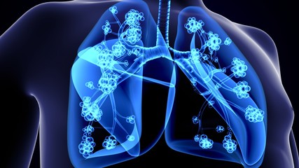 3d illustration of Lungs Anatomy - with detailed Alveoli - detailed view