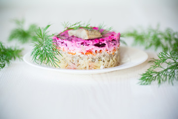 layered salad of boiled vegetables with beets and herring