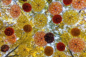 autumn umbrellas in the sky