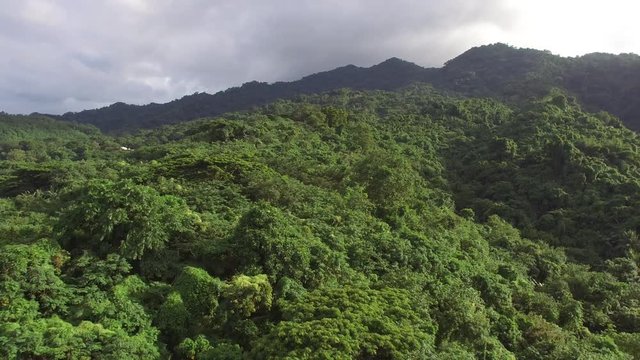 Mt. Makiling, Los Ba&ntilde;os, Laguna, Philippines - November 21, 2017: Mountain reserve government protected rain forest replete with full grown trees. Drone aerial shot