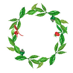  A wreath of wild rose leaves. Watercolor wreath of leaves, buds and wild rose berries