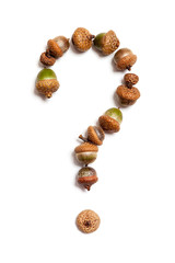 Question mark laid out of acorns
