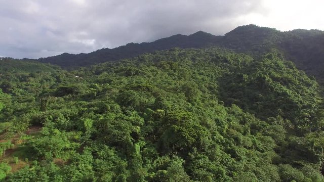 Mt. Makiling, Los Ba&ntilde;os, Laguna, Philippines - November 21, 2017: Mountain reserve government protected rain forest replete with full grown trees. Drone aerial shot