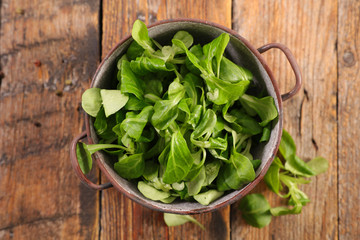 green lettuce on wood background