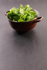 bowl of green lettuce