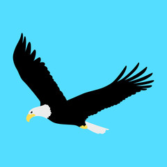 Eagle spread wings, flying and looking down, cute symbol style, simple design, black, white and yellow color.