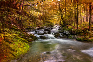 Beautiful autumn colors at the mountain river and colorful trees
