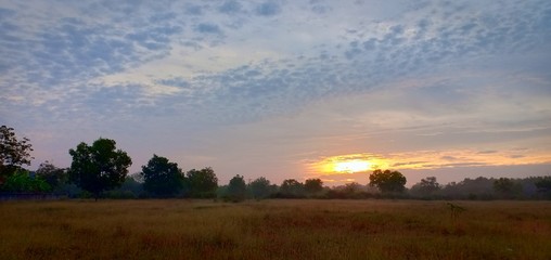 The sky blue and yellow sunlight in morning at Udonthani , Thailand.