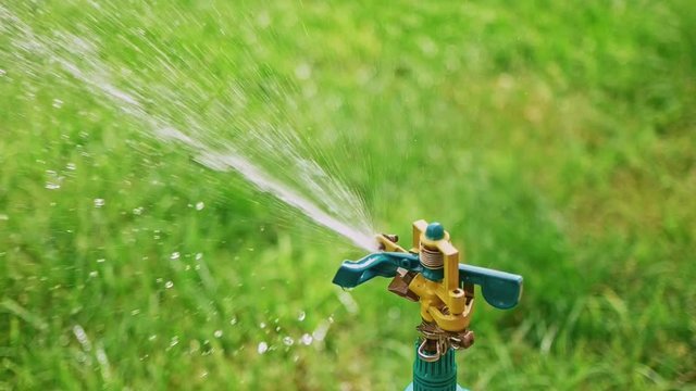 Irrigation. Gardening in backyard - sprinkler on tripod working