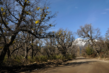 Bariloche - Argentina