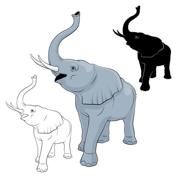 Elephant vector image