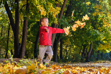 Happy child and autumn in a park. Kid has fun playing in fall leaves.