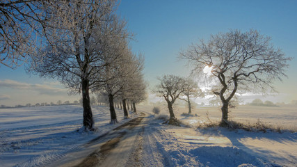 Winteransicht
