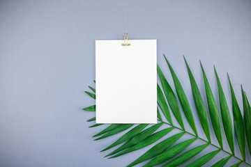 Mockup blank white postcard tropical palm leaves