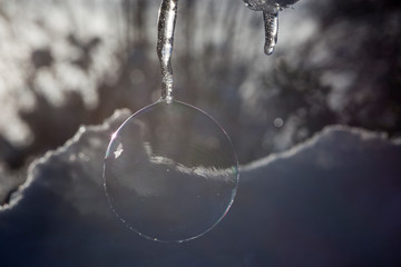 Christbaumschmuck aus der Natur