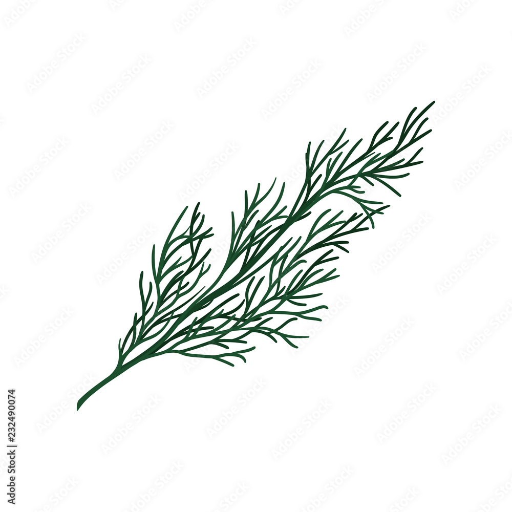 Aufkleber green twig of christmas tree. small coniferous branch. natural object. flat vector design