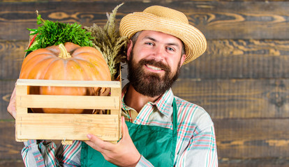 Fresh organic vegetables box. Farmer straw hat deliver fresh vegetables. Fresh vegetables delivery service. Man cheerful bearded farmer wear apron presenting vegetables pumpkin wooden background