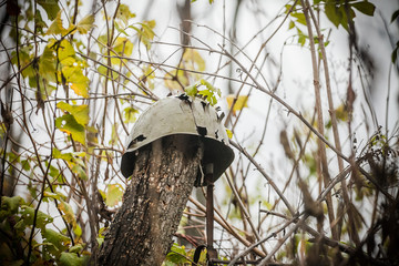 Helmet pierced by bullets in the forest