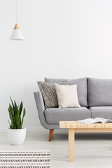 Wooden table in front of grey sofa in white apartment interior with lamp above plant. Real photo