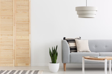 Lamp above wooden table in white living room interior with grey settee next to plant. Real photo