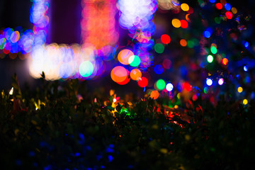 city chrismas lights bokka