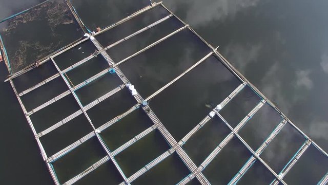 Sampaloc Lake, San Pablo City, Laguna, Philippines - November 12, 2017: Bamboo fish cages built in the middle of mountain lake. Drone aerial shot