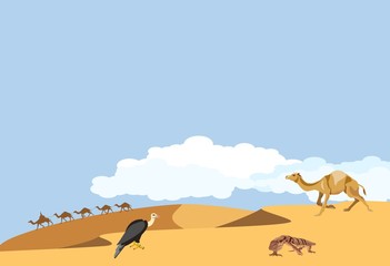 Desert landscape, camel, varan lizard, vulture on the barhans, wildlife vector illustration
