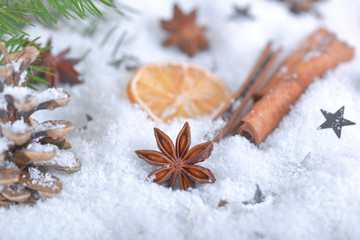 anise star and cinnamon on snow christmas decoration