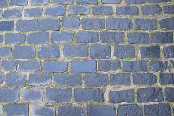 The Trinity-St. Sergius Lavra is the largest monastery of the Russian Orthodox Church. St. Sergius of Radonezh in 1337godu. Russia, Sergiev Posad, September 2018.