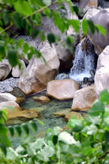 阿寺川 渓流