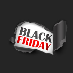 Torn Paper Black Friday Sale. Vector illustration