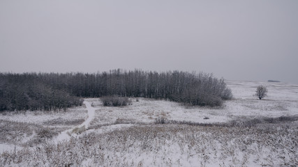 The First Signs of Winter