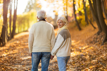 Senior couple in autumn park