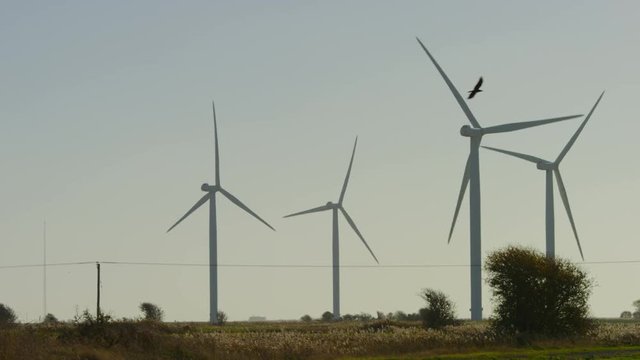 Wind turbines turning on a wind farm, in slow motion