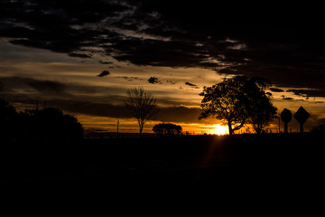 Amanecer en el horizonte invierno y campo arboles