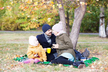 family picnic tea