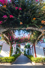 Puerto de Mog&aacute;n