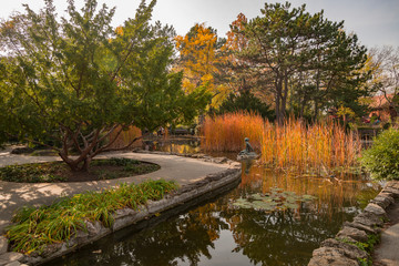 beautiful vivid autumn colors in Japanese garden at Margaret Island Budapest
