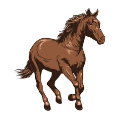 Horse Vector Illustration. Horse racing
