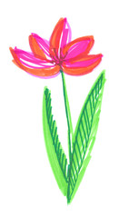 Obraz premium Bright pink flower on a green stem with leaves painted in highlighter felt tip pen on clean white background
