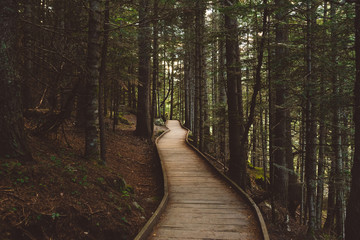 Obraz premium National Park of Sant Maurici