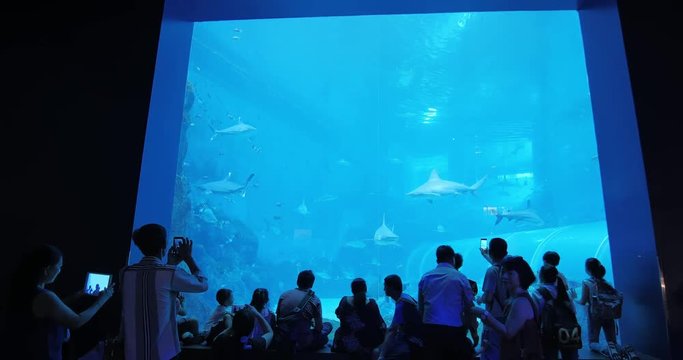 Tourism travel Aquarium in Sentosa
