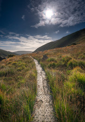 kleiner Holzsteg, der durch hügelige Graslandschaft zum Horizont führt
