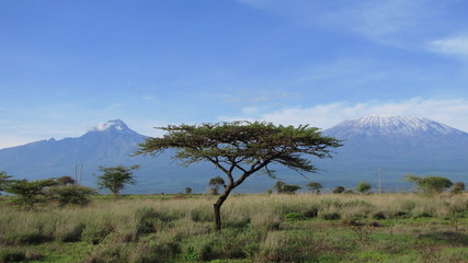 Fototapeta na wymiar Landschaft am Kilimandscharo, Kenia