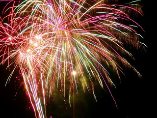 Fireworks exploding in the night sky